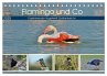 Flamingo und Co - Faszinierende... - Bild 1