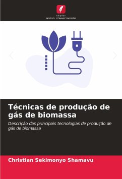 Técnicas de produção de gás de biomassa - SEKIMONYO SHAMAVU, Christian