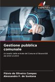 Gestione pubblica comunale