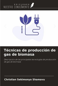 Técnicas de producción de gas de biomasa - Sekimonyo Shamavu, Christian