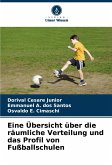 Eine Übersicht über die räumliche Verteilung und das Profil von Fußballschulen