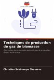 Techniques de production de gaz de biomasse