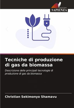 Tecniche di produzione di gas da biomassa - Sekimonyo Shamavu, Christian