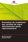 Évaluation du rendement des variétés de vigne sélectionnées après rajeunissement