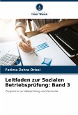 Leitfaden zur Sozialen Betriebsprüfung: Band 3