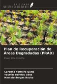 Plan de Recuperación de Áreas Degradadas (PRAD)