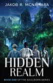 The Hidden Realm