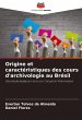 Origine et caractéristiques des cours... - Bild 1