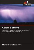 Colori e ombre