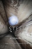 Steel Steel