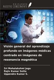 Visión general del aprendizaje profundo en imágenes médicas centrado en imágenes de resonancia magnética