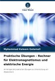 Praktische Übungen - Rechner für Elektromagnetismus und elektrische Energie