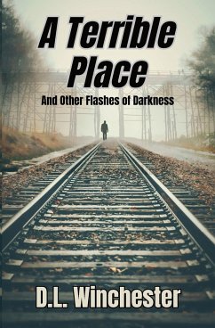 A Terrible Place and Other Flashes of Darkness - Winchester, D. L.