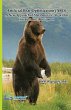 Artificial Bear Optimization (ABO) - Bild 1