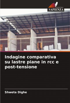 Indagine comparativa su lastre piane in rcc e post-tensione - Dighe, Shweta