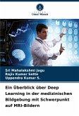 Ein Überblick über Deep Learning in der medizinischen Bildgebung mit Schwerpunkt auf MRI-Bildern