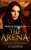 The Arena (eBook, ePUB)