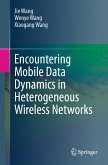 Encountering Mobile Data Dynamics in Heterogeneous Wireless Networks (eBook, PDF)