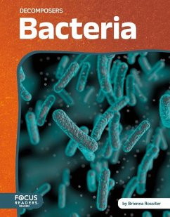 Decomposers: Bacteria - Rossiter, Brienna