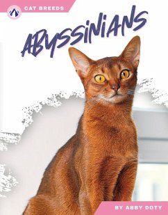 Abyssinians - Doty, Abby