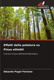 Effetti della potatura su Pinus elliottii