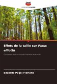 Effets de la taille sur Pinus elliottii