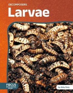 Larvae - Doty, Abby