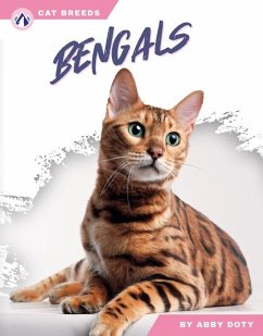 Cover Bengals