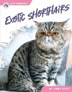 Cover Exotic Shorthairs