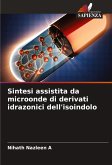Sintesi assistita da microonde di derivati idrazonici dell'isoindolo Sintesi assistita da microonde di derivati idrazonici dell'isoindolo