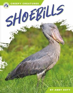 Shoebills - Doty, Abby