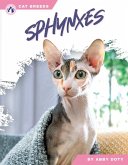 Sphynxes Sphynxes