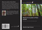Efectos de la poda en Pinus elliottii