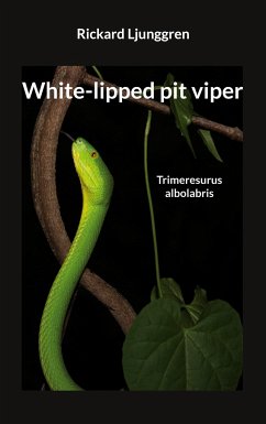 White-lipped pit viper - Ljunggren, Rickard