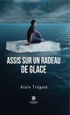 Assis sur un radeau de glace (eBook, ePUB)