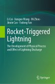 Rocket-Triggered Lightning (eBook, PDF)