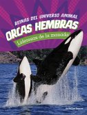 Orcas Hembras