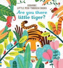 Cover Are You There Little Tiger?