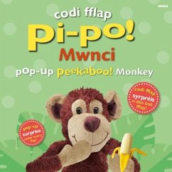 Codi Fflap Pi-po! Mwnci / Pop-up Peekaboo! Monkey - Sirett, Dawn