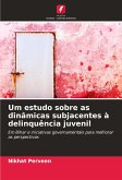 Um estudo sobre as dinâmicas subjacentes à delinquência juvenil