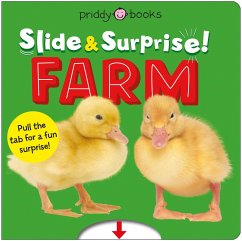 Slide & Surprise Farm - Priddy, Roger