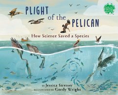 Cover Plight of the Pelican