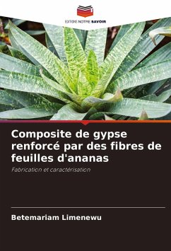 Composite de gypse renforcé par des fibres de feuilles d'ananas - Limenewu, Betemariam