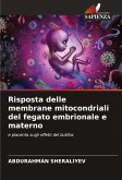 Risposta delle membrane mitocondriali del fegato embrionale e materno