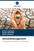 Umweltmanagement