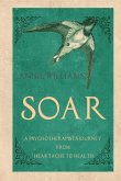 Soar Soar