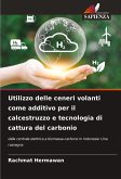 Utilizzo delle ceneri volanti come additivo per il calcestruzzo e tecnologia di cattura del carbonio