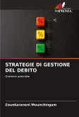 STRATEGIE DI GESTIONE DEL DEBITO