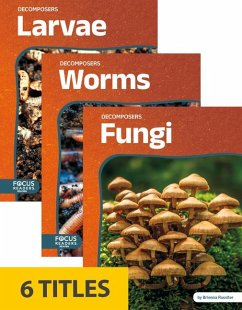 Decomposers (Set of 6) - Various