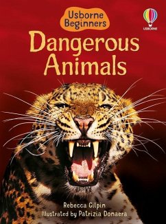 Dangerous Animals - Gilpin, Rebecca